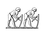 Hoeing, Egyptian